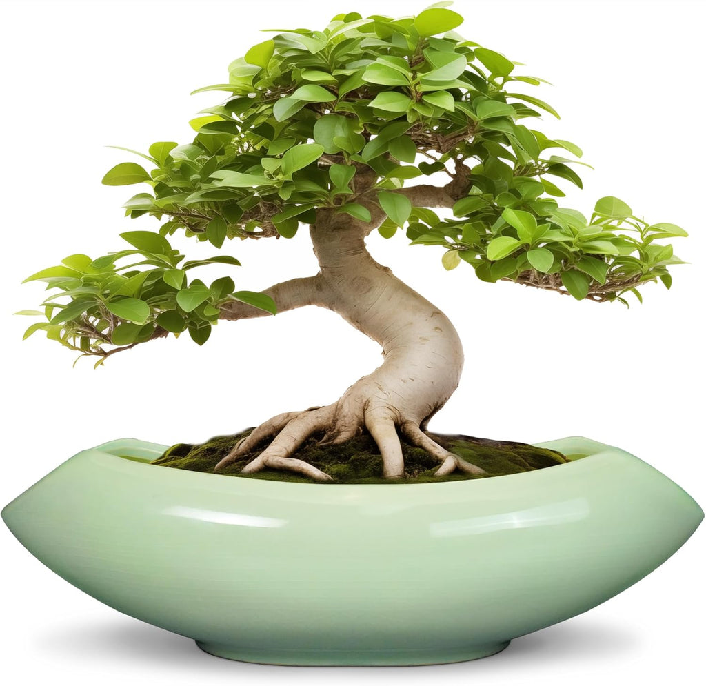 Ceramic Bonsai Pots - Large Succulent Planter 18 Inch Plant Pot Indoor Succulent Pot with Drainage Hole Outdoor Planter Bonsai Tree Pot for House Home Garden Decor Green