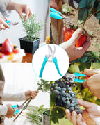 Pruning Shears for Gardening, 2 Pack Garden Scissors for Cutting Fresh Flowers, Floral Clippers for Plants, Fruits (Blue)