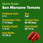 HOME GROWN San Marzano Tomato Seeds – 132 Heirloom, 𝗡𝗢𝗡-𝗚𝗠𝗢, 𝗨𝗦𝗔-𝗦𝗢𝗨𝗥𝗖𝗘𝗗 Seeds – High Germination Tomatoes for Indoor & Outdoor Growing – Classic Paste Variety for Gardeners & Home Use