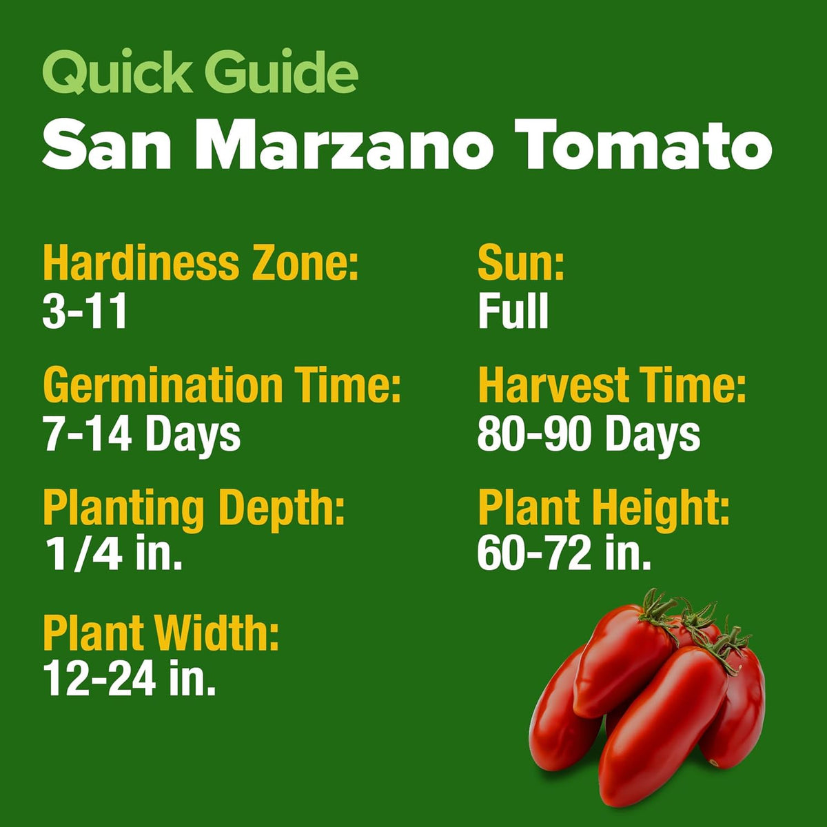 HOME GROWN San Marzano Tomato Seeds – 132 Heirloom, 𝗡𝗢𝗡-𝗚𝗠𝗢, 𝗨𝗦𝗔-𝗦𝗢𝗨𝗥𝗖𝗘𝗗 Seeds – High Germination Tomatoes for Indoor & Outdoor Growing – Classic Paste Variety for Gardeners & Home Use