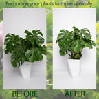 5PCS 11 * 9.4 Inch Monstera Plant Support Stem - Premium Adjustable Leaf Holder & Fishbone Cactus Stake, Durable Gardening Tool for Climbing Plants, Easy Installation & Enhanced Stability