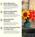 Eden Brothers New York Wildflower Mixed Seeds for Planting, 1/4 lb, 120,000+ Seeds with Coneflower, Cosmos | Attracts Pollinators, Plant in Spring or Fall, Zones