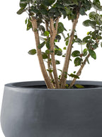 Kante 19.6",15.7",11.8" Dia Round Concrete Planters Set of 3, Outdoor Indoor Garden Plant Pots with Drainage Hole and Rubber Plug, Modern Curvaceous Design, Charcoal