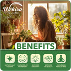 Berry Variety Pack - 4 Live Starter Plants - A Selection of Blueberry, BlackBerry, and Raspberry Varieties for Your Edible Garden