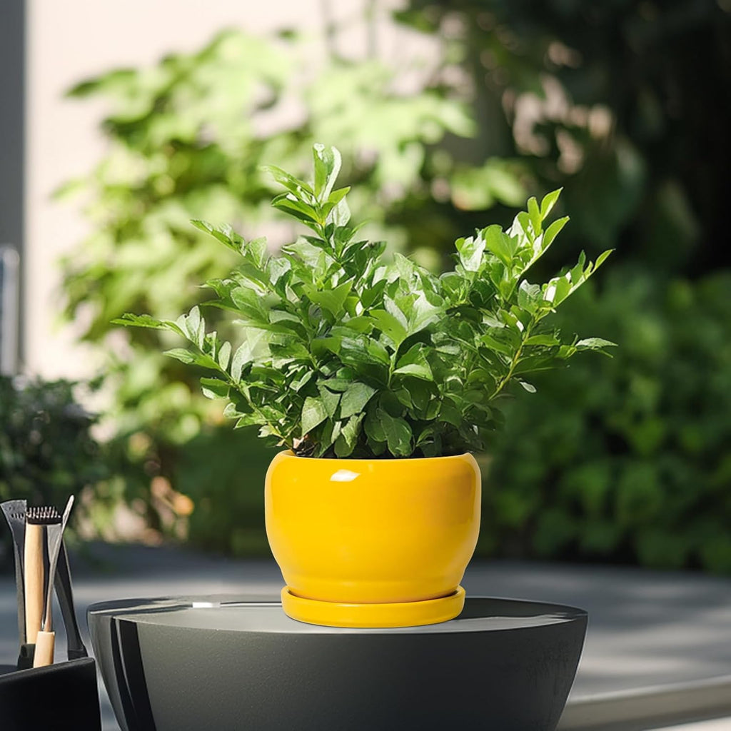 SQOWL 6 Inch Plant Pot - Ceramic Planter with Drainage Hole and Saucer, Modern Ceramic Flower Pots for Indoor Plants Outdoor, Round Decorative Small Planter, Desk Decor, Garden Gifts, Yellow