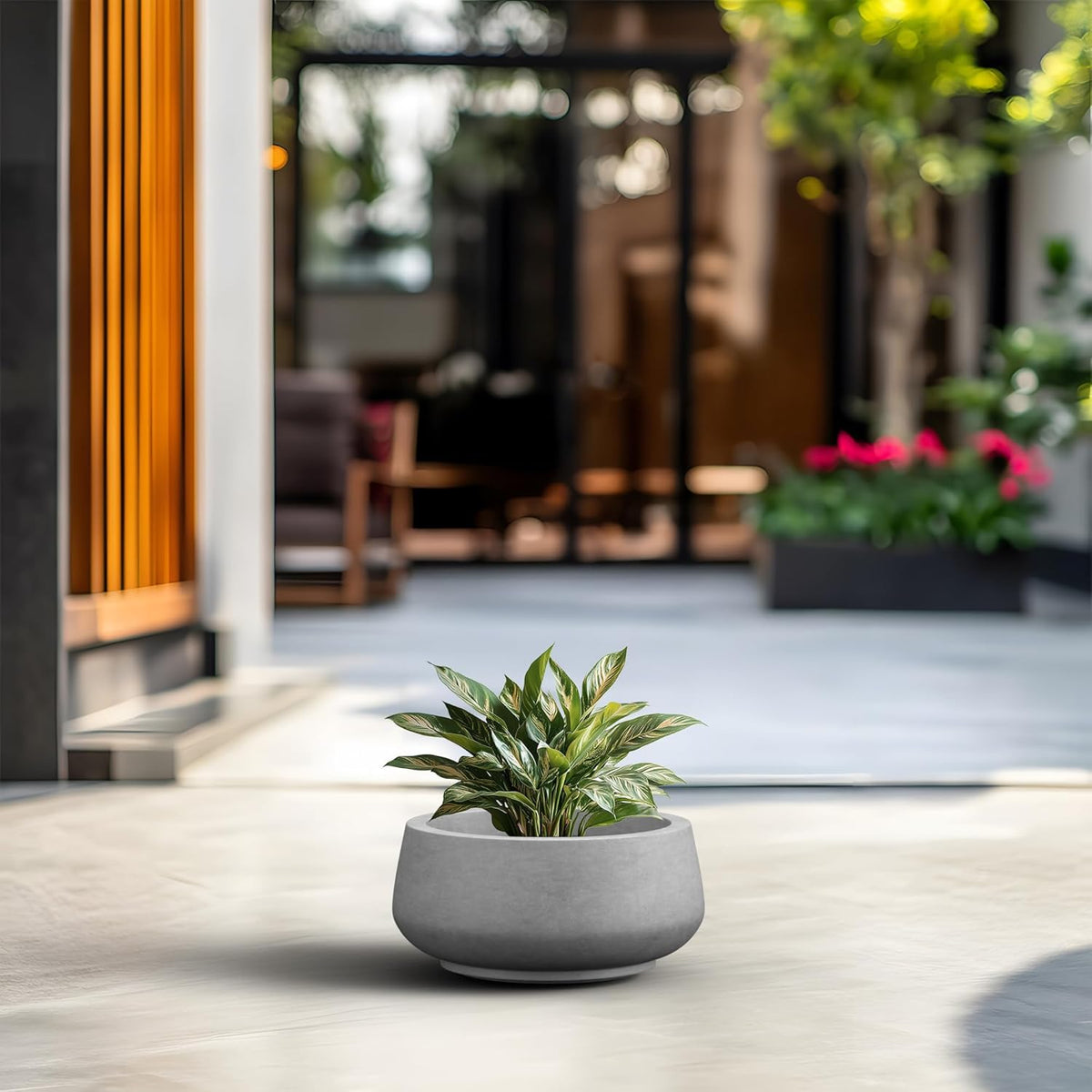 Kante 12.5" Dia Round Concrete Bonsai Planters, Outdoor Indoor Garden Plant Pot with Drainage Hole for Home, Patio, Garden, Concrete Gray