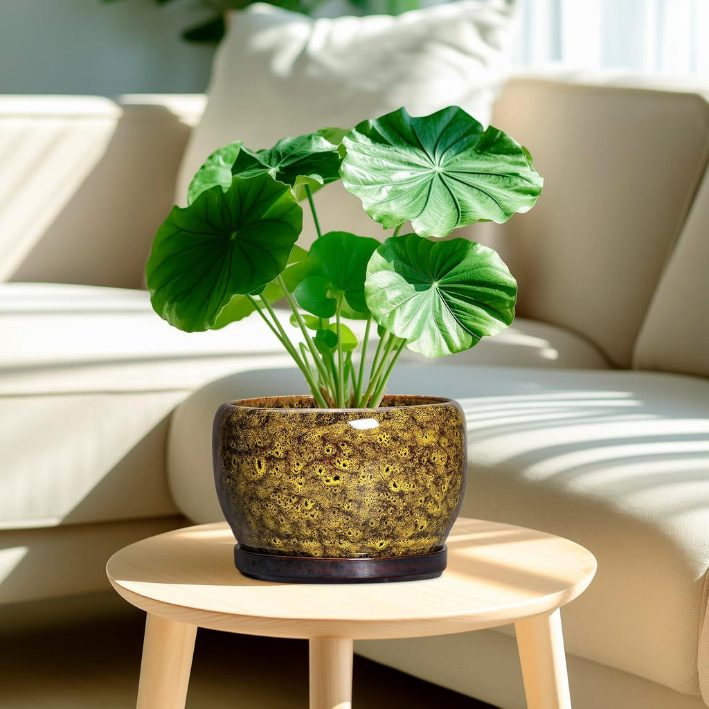 SQOWL Ceramic Flower Pots - 8 inch Ceramic Planter for Indoor Plants, Decorative Plant Pots with Drainage Hole and Saucer, Round Planter Outdoor, Porch Backyard Decor, Housewarming Gifts, Yellow