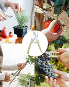Pruning Shears for Gardening, 2 Pack Garden Scissors for Cutting Fresh Flowers, Floral Clippers for Plants, Fruits (Yellow)