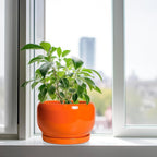 SQOWL Ceramic Planter - 10 Inch Plant Pot with Drainage Hole and Saucer, Round Modern Planter for Indoor Outdoor Plants, Decorative Large Flower Pot, House Decor, Gifts for Women Men, Orange