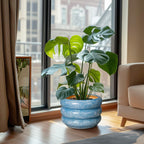 SQOWL 10 Inch Planter Pot - Ceramic Plant Pot with Drainage Hole Planter for Indoor Plants Large Flower Pot Decorative Plant Pot Outdoor Planter for Porch Decor Blue