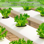 Cunhill 100 Pcs Hydroponic Growing Kit Include 50 Pcs Plant Replacement Basket Containers and 50 Pcs Seed Pot Label Compatible with Hydroponic Growing System(0.5 Inch,Black)