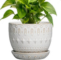 G EPGardening Ceramic Plant Pot - Succulent Pots with Drainage Hole and Saucer 5 Inch Planter for Indoor Plants Outdoor Decorative Round Flower Pot White