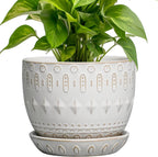 G EPGardening Ceramic Plant Pot - Succulent Pots with Drainage Hole and Saucer 5 Inch Planter for Indoor Plants Outdoor Decorative Round Flower Pot White