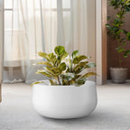 Kante 11.8" Dia Round Concrete Planter, Cement Plant Pots with Drainage Hole and Rubber Plug for Outdoor Indoor Garden Home, Modern Curvaceous Design, Pure White
