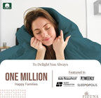 Pizuna Pure 100% Cotton Queen Duvet Cover Set, Luxurious 400 Thread Count Long Staple Cotton Sateen Weave with Button Closure (Combed Peacock Blue Cotton Duvet Cover Queen)