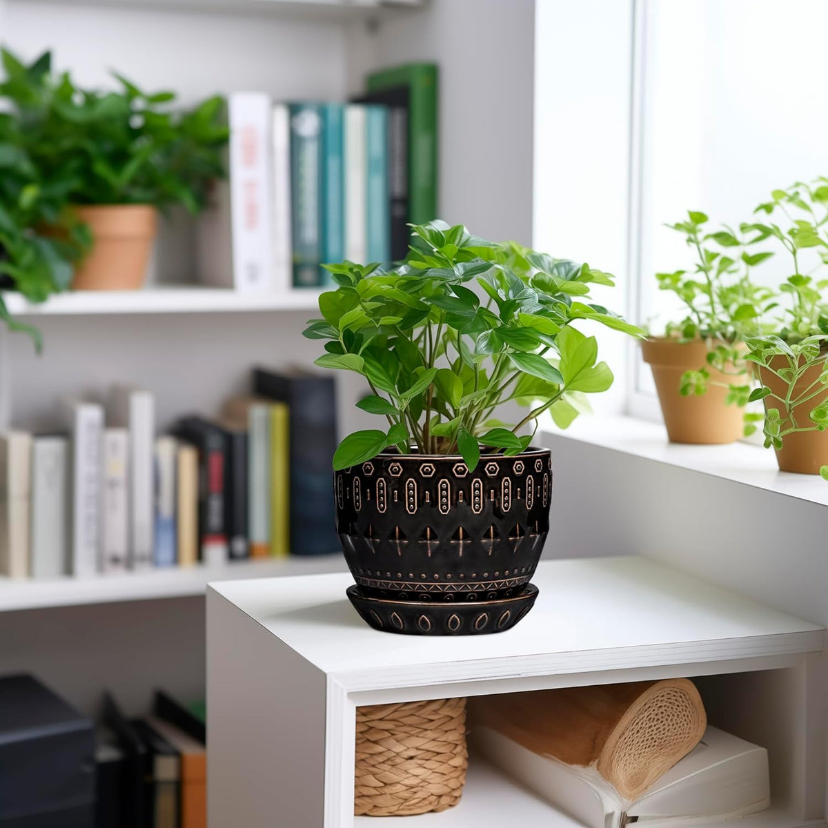G EPGardening Ceramic Pot for Plants 5.5 Inch - Ceramic Plant Pot Indoor with Drainage Hole and Saucer, Round Boho Planter for Indoor Plants Outdoor, Housewarming Gifts, Garden Office Decor, Black