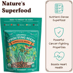 Seedboy Organic Non-GMO Sprouting Seeds, Superfood Blend - USA Grown Microgreens Mix with Broccoli, Radish, Pak Choi, Clover, Red Kale - 8 oz Makes 8 Quarts / 24 Servings (Superfood Blend)