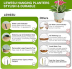 LEWESU Set of 2 Hanging Planters for Indoor Plants with Self Watering Includes Hanging Pots and 2 Types Plant Hangers, Outdoor Hanging Baskets Holder for Home Garden, 10 Inch Sage Green