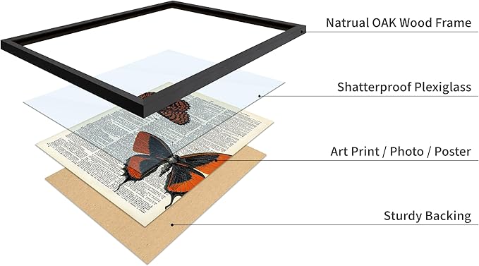 Poster Master Dictionary Art Poster - Butterflies Print - Moth Art - Butterfly Art - Insect Art - Gift for Men, Women & Animal Lover - Chic Decor for Living Room or Bedroom, 16x20 Black Framed