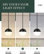 LMS 8-inch Modern Globe Pendant Light Frosted Glass with Black Finish Contemporary Mid Century Adjustable Hanging Light Fixture for Living Room Bedroom Kitchen LMS-186