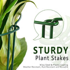 6 Pack Plant Support Stakes, Metal Monstera Plant Support Stakes for Indoor Plants, Large Garden Plant Support Ring, Tomato Cage, Tall Plant Holder Sticks (10" W X 15.8" H)