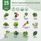 Organo Republic 25 Winter Vegetable & Green Seeds Variety Pack for Outdoors & Indoor Home Gardening 27670+ Non-GMO Heirloom Seeds: Broccoli Beet Carrot Collard Lettuce Radish Spinach Pea Kohlrabi