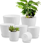 7 pcs Plant Pots with Drainage Holes and Saucers, Indoor Planters, Set of 7 (7.5, 7, 6.5, 6, 5.5, 4.5, 3.5 Inches), White
