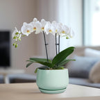 G EPGardening Ceramic Plant Pots - 6 Inch Pot for Plants, Ceramic Planter with Drainage and Saucer, Flower Indoor Outdoor Planter, Modern Bathroom Decor, Birthday Gifts, Green