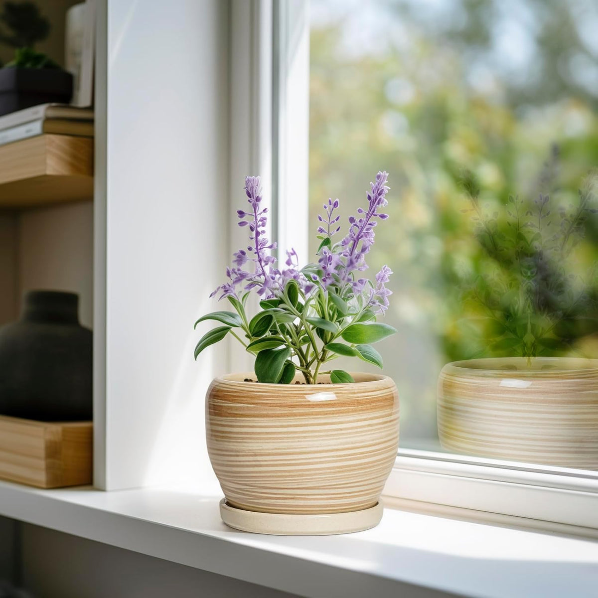 SQOWL Ceramic Pot for Plants - 6 Inch Indoor Planter with Drainage Hole and Tray, Round Modern Flower Pot Outdoor, Decorative Succulent Planter, Kitchen Decor, Gifts for Plant Lovers, Yellow