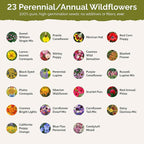 Eden Brothers Iowa Wildflower Mixed Seeds for Planting, 1 lb, 480,000+ Seeds with Cornflower, Candytuft | Attracts Pollinators, Plant in Spring or Fall, Zones
