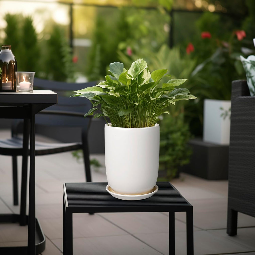 Plant Pot 8 Inch - Ceramic Planter for Indoor Plants Outdoor, Large Plant Pot with Drainage Hole and Saucer, Modern Flower Pot, White
