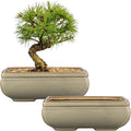 Ceramic Bonsai Pots with Drainage Hole, Set of 2 Rectangular Glazed Bonsai Planters for Indoor/Outdoor Use, Shallow Brown Bonzai Tree Pots for Succulent, Orchids, Cacti, Home, Patio, Garden, 8.7"x5.9"