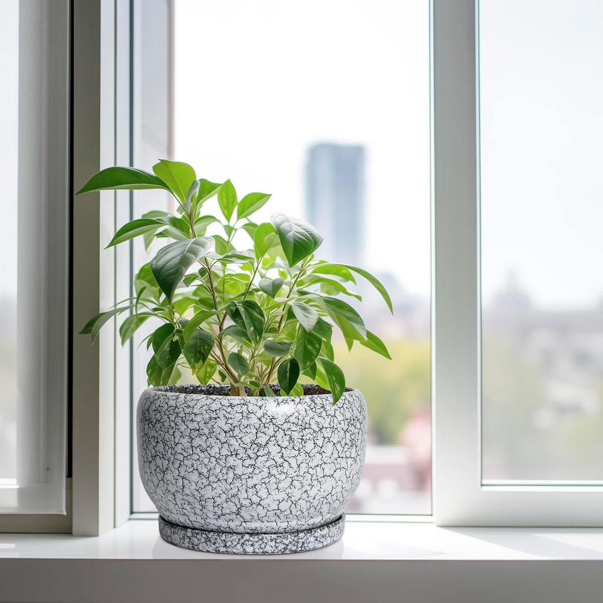 SQOWL Ceramic Planters - 10 Inch Ceramic Flower Pot with Drainage Hole and Saucer, Decorative Plant Pot Indoor, Round Large Planter Outdoor, Bathroom Decor, Gifts for Plant Lovers, Black and White