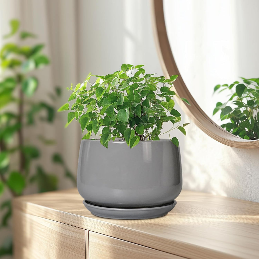 G EPGardening Modern Ceramic Planter - 7 Inch Round Modern Plant Pot Indoor with Drainage and Ceramic Tray Indoor Outdoor for Flower, Vanity Decor, Birthday Gifts, Grey