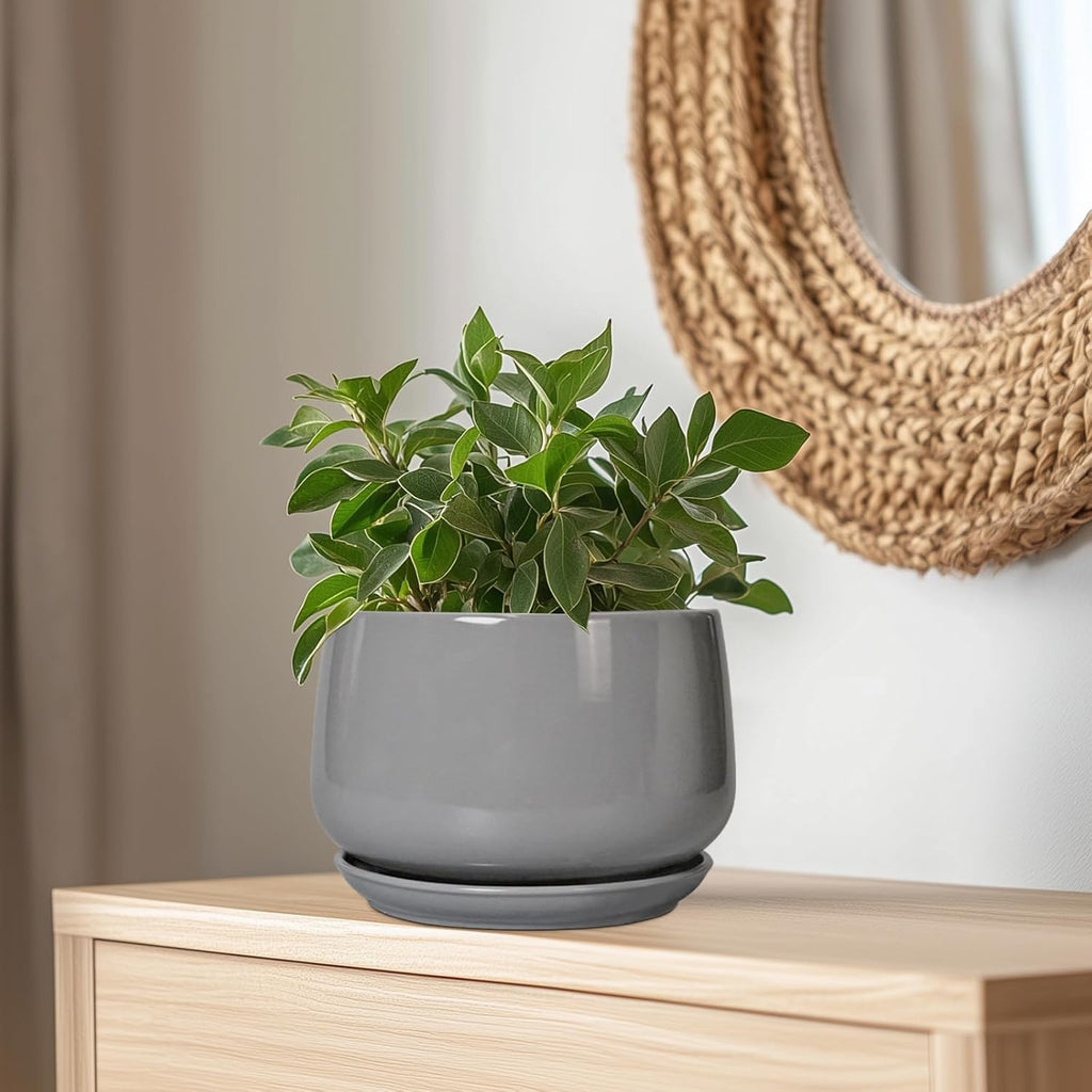 G EPGardening Ceramic Plant Pots - 9 Inch Modern Round Planter with Drainage and Plant Saucer for Indoor Outdoor Flower, Apartment Decor, Birthday Gifts, Grey