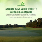 Outsidepride T-1 Creeping Bentgrass Seed - 2 lbs Fine-Bladed, Premium Quality Turf, Grass Seed for Smooth Surface, & High-Traffic Areas, Ideal Grass for Golf Courses Putting Greens, & Fairways