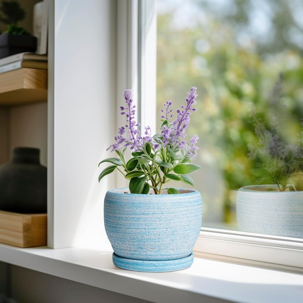 SQOWL Ceramic Planters for Indoor Plants - 6 Inch Plant Pot Indoor Outdoor, Decorative Flower Pot with Drainage Hole and Saucer, Round Succulent Planter, Home Apartment Decor, Garden Gifts, Blue