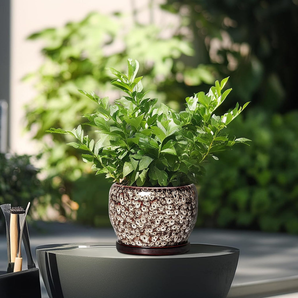 SQOWL Ceramic Plant Pots - 6 Inch Ceramic Planter for Indoor Outdoor, Small Flower Pots with Drainage Hole and Saucer, Decorative Round Planter, Home Office Decor, Plant Lover Gifts, White