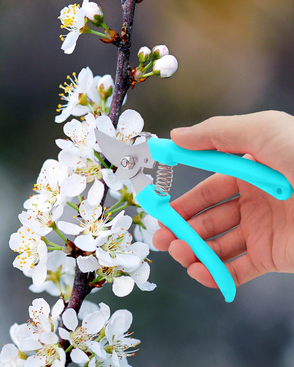 Pruning Shears for Gardening, 2 Pack Garden Scissors for Cutting Fresh Flowers, Floral Clippers for Plants, Fruits (Blue)