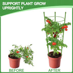 KLS 3 Pack Tomato Cage for Pots Plant Support, Upgrade 36 Inches Tomato Cages for Garden, Pepper Cage Trellis Kit with Plant Tie and Clips (36")