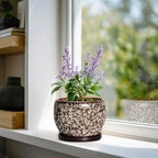 SQOWL Ceramic Plant Pots - 6 Inch Ceramic Planter for Indoor Outdoor, Small Flower Pots with Drainage Hole and Saucer, Decorative Round Planter, Home Office Decor, Plant Lover Gifts, White