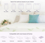NapQueen Queen Size, 6 Inch Anula Green Tea Infused Memory Foam Mattress, Bed in a Box, CertiPUR-US Certified Mattress