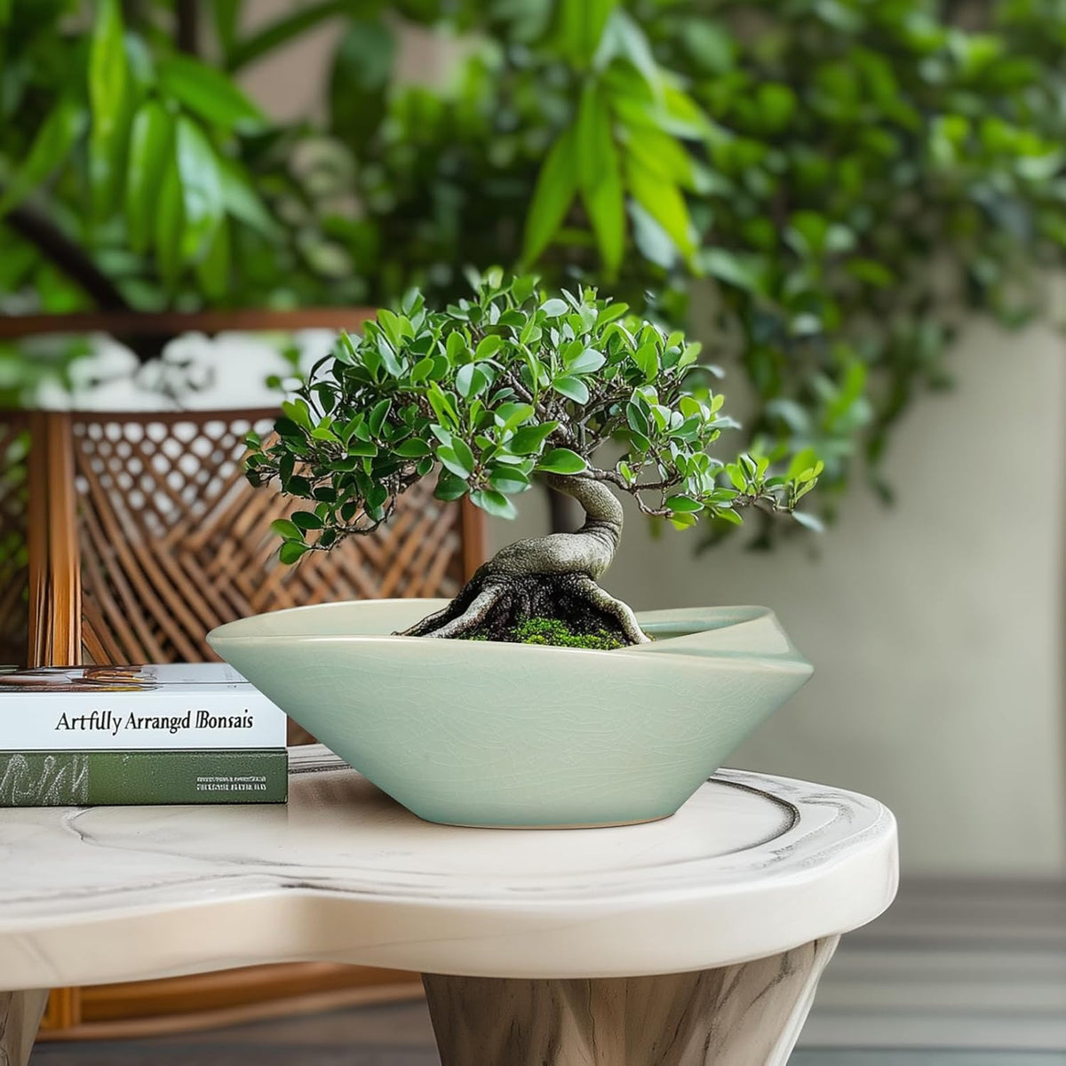 Bonsai Pot - 12 Inch Ceramic Planter Pot with Drainage Hole Large Modern Planter Decorative Glazed Succulent Plant Pot for Indoor Outdoor Plants Green