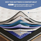 King Mattress, 14 Inch Hybrid Pillow Top King Size Mattresses in a Box with Gel Memory Foam & Individually Pocket Coils, Medium Firm Mattress for Back Pain