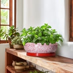 Bonsai Pots 10 Inch - Ceramic Succulent Planters for Indoor Plants Outdoor, Succulent Pots with Drainage Hole and Tray, Round Shallow Planter, Bonsai Planter, Home Decor, Gardening Gift, Red