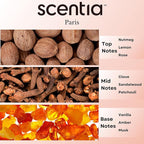 Hotel Diffuser Oil Inspired by The Hotel Costes Paris - 20 mL 0.67 fl oz - Fragrance Oil Blend Rose,Clove &Sandalwood for Aromatherapy Diffuser & Humidifiers.-Paris