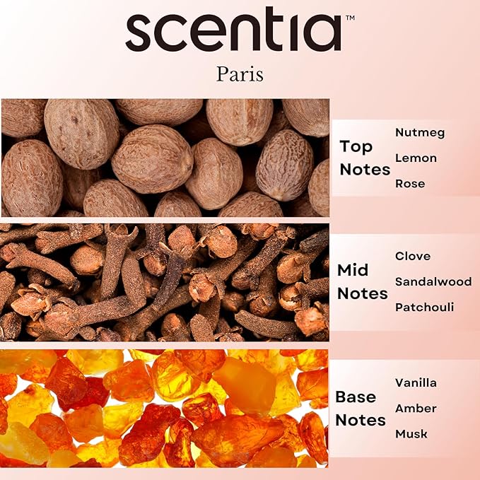 Hotel Diffuser Oil Inspired by The Hotel Costes Paris - 20 mL 0.67 fl oz - Fragrance Oil Blend Rose,Clove &Sandalwood for Aromatherapy Diffuser & Humidifiers.-Paris