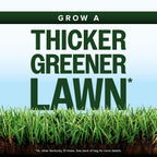 Scotts Kentucky 31 Grass Seed Mix for New Lawns or Overseeding, Grows Thicker and Greener vs. Other Kentucky 31 Mixes, Covers up to 10,000 sq. ft.