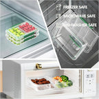 Finorder 3 Pack Food Storage Containers | 11.8 oz BPA Free Plastic Meal Prep Containers with Dividers | Microwave & Dishwasher Safe Sandwich Boxes | Stackable Lunch Containers (11.8 oz Each)