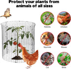 12 Sets of 16'' x 12'' Garden Plant Protectors from Animals With Detachable Covers ,36Pcs Metal Wire Protectors With Cover for Plants , Metal Plant Cage Chicken Wire Cloche with Stakes & Nylon Ties